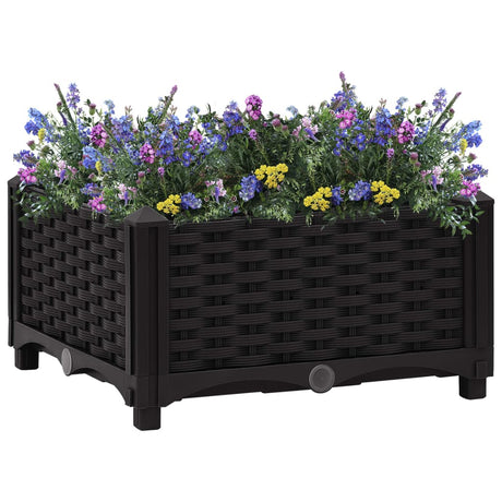 Raised Bed Polypropylene