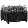 Raised Bed Polypropylene