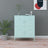 Storage Cabinet 80X35X101.5 Cm Steel