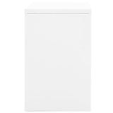 Filing Cabinet Steel