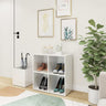 Hall Shoe Cabinet 105X35.5X70 Cm Engineered Wood