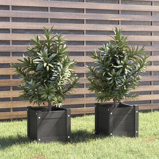 Garden Planters 2 Pcs 31X31X31 Cm Solid Pinewood