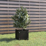 Garden Planter 31X31X31 Cm Solid Pinewood