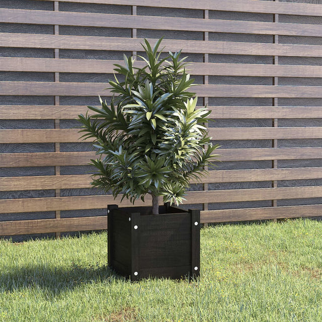 Garden Planter 31X31X31 Cm Solid Pinewood
