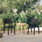 Garden Chairs 2 Pcs Polypropylene