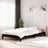 Stack Bed Without Mattress Single Solid Wood Pine
