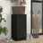 Shoe Cabinet 30X35X70 Cm Engineered Wood