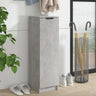Shoe Cabinet 30X35X100 Cm Engineered Wood