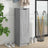 Shoe Cabinet 30X35X100 Cm Engineered Wood