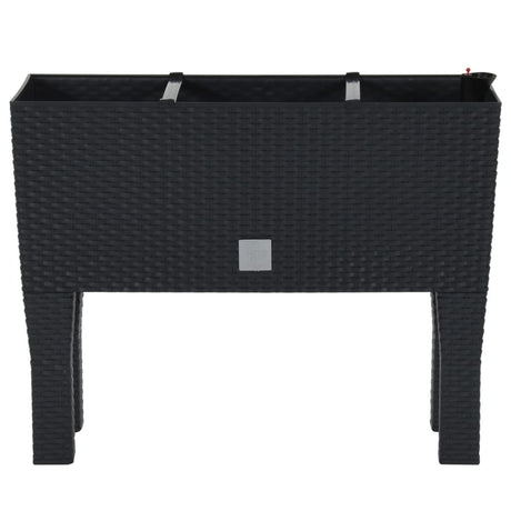 Raised Garden Bed Anthracite 60X25X46 Cm Pp Rattan