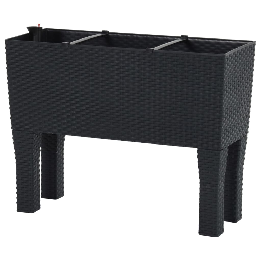 Raised Garden Bed Anthracite 60X25X46 Cm Pp Rattan