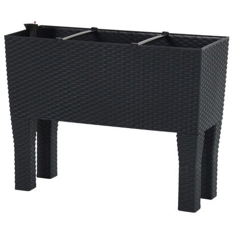 Raised Garden Bed Anthracite 60X25X46 Cm Pp Rattan