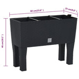Raised Garden Bed Anthracite 60X25X46 Cm Pp Rattan