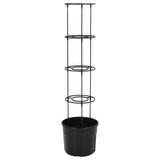Tomato Grower Anthracite Ø29.5X115 Cm Polypropylene