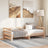 Pull-Out Day Bed Without Mattress