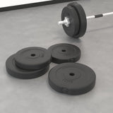Weight Plates 2 Pcs 30 Kg Cement