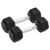 Dumbbells 2 Pcs 8 Kg Cast Iron