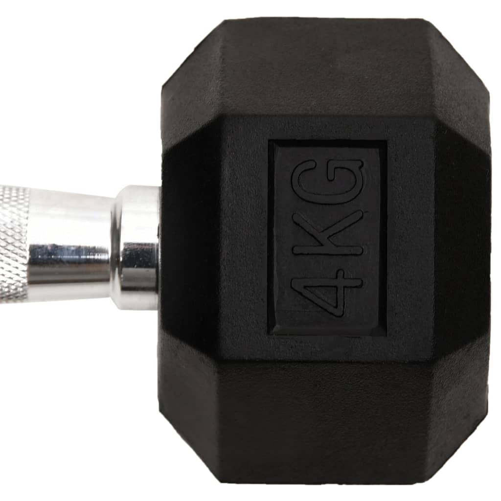 Dumbbells 2 Pcs 8 Kg Cast Iron