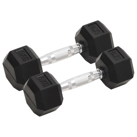Dumbbells 2 Pcs 8 Kg Cast Iron