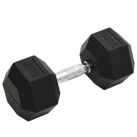 Dumbbells 2 Pcs 8 Kg Cast Iron