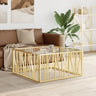 Coffee Table 100X100X50 Cm Stainless Steel And