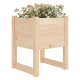 Planters 2 Pcs Solid Wood Pine