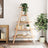 5-Tier Shelf A-Shape 110X40X180.5 Cm Solid Wood Pine