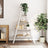 5-Tier Shelf A-Shape 110X40X180.5 Cm Solid Wood Pine