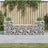 Garden Bench Gabion Design 183X41X60.5 Cm Solid Wood Pine