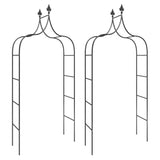 Garden Arches 2 Pcs Black 120X38X260 Cm Steel