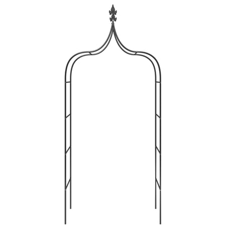 Garden Arches 2 Pcs Black 120X38X260 Cm Steel