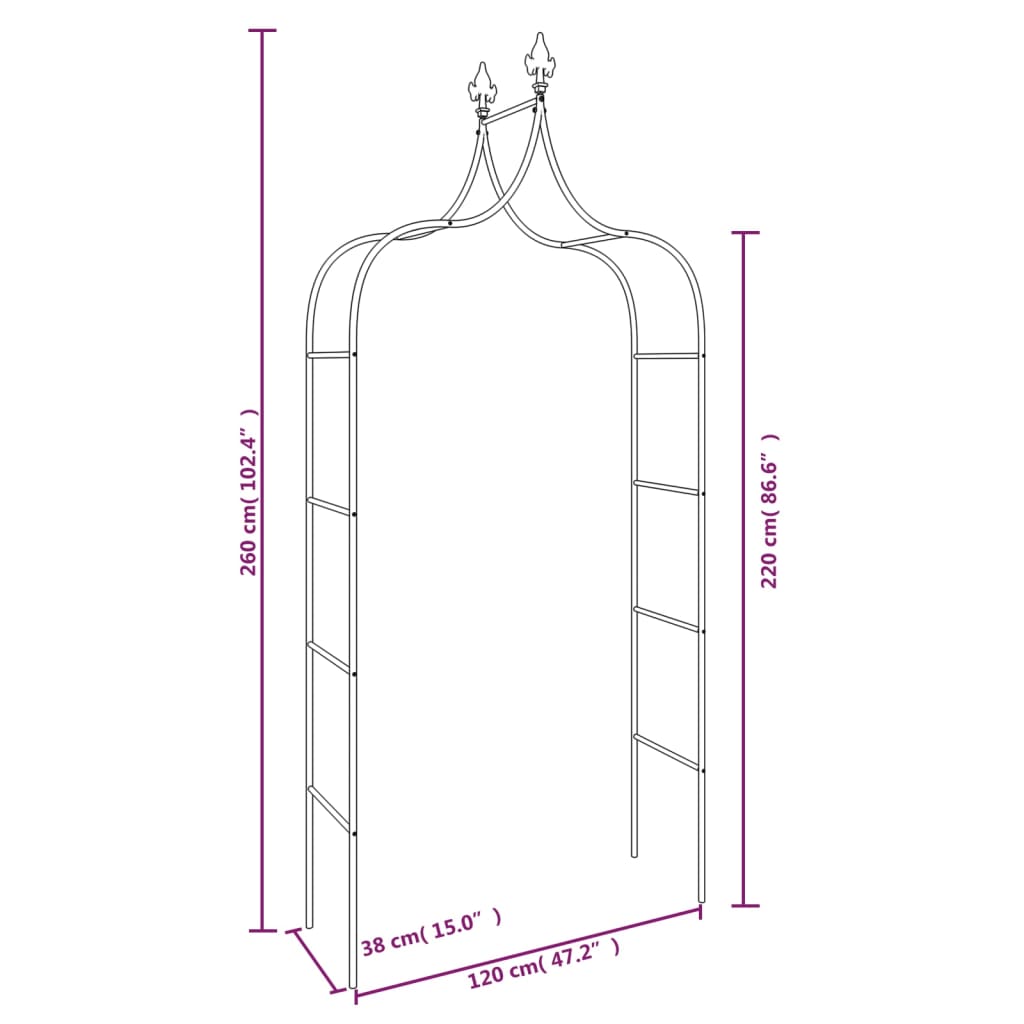 Garden Arches 2 Pcs Black 120X38X260 Cm Steel