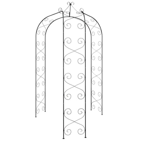 Garden Arch Black Ø180X255 Cm Steel