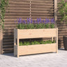 Planter Solid Wood Pine