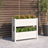 Planter Solid Wood Pine