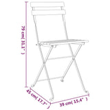 Folding Bistro Chairs 2 pcs Solid Wood Teak and Steel