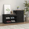 Shoe Cabinet 100X42X60 Cm Engineered Wood