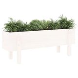 Garden Raised Bed White Solid Wood Pine
