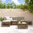 6 Piece Garden Lounge Set Solid Wood Douglas