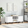 Record Cabinet 121X38X48 Cm Engineered Wood