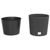 Planter With Removable Inner 15 / Pp Rattan