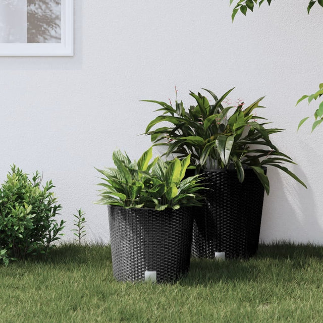 Planter With Removable Inner 15 / Pp Rattan
