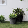 Planter With Removable Inner 15 / Pp Rattan