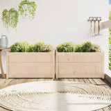 Garden Planters 2 Pcs Solid Wood Pine
