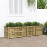 Garden Planters 2 Pcs Solid Wood Pine