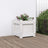 Garden Planters 2 Pcs Impregnated Wood Pine