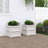 Garden Planters 2 Pcs Solid Wood Pine