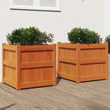 Garden Planters 2 Pcs Solid Wood Pine