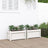 Garden Planter 60X31X31 Cm Solid Wood Pine