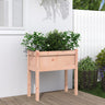 Garden Planters 2 Pcs With Legs White Solid Wood Pine